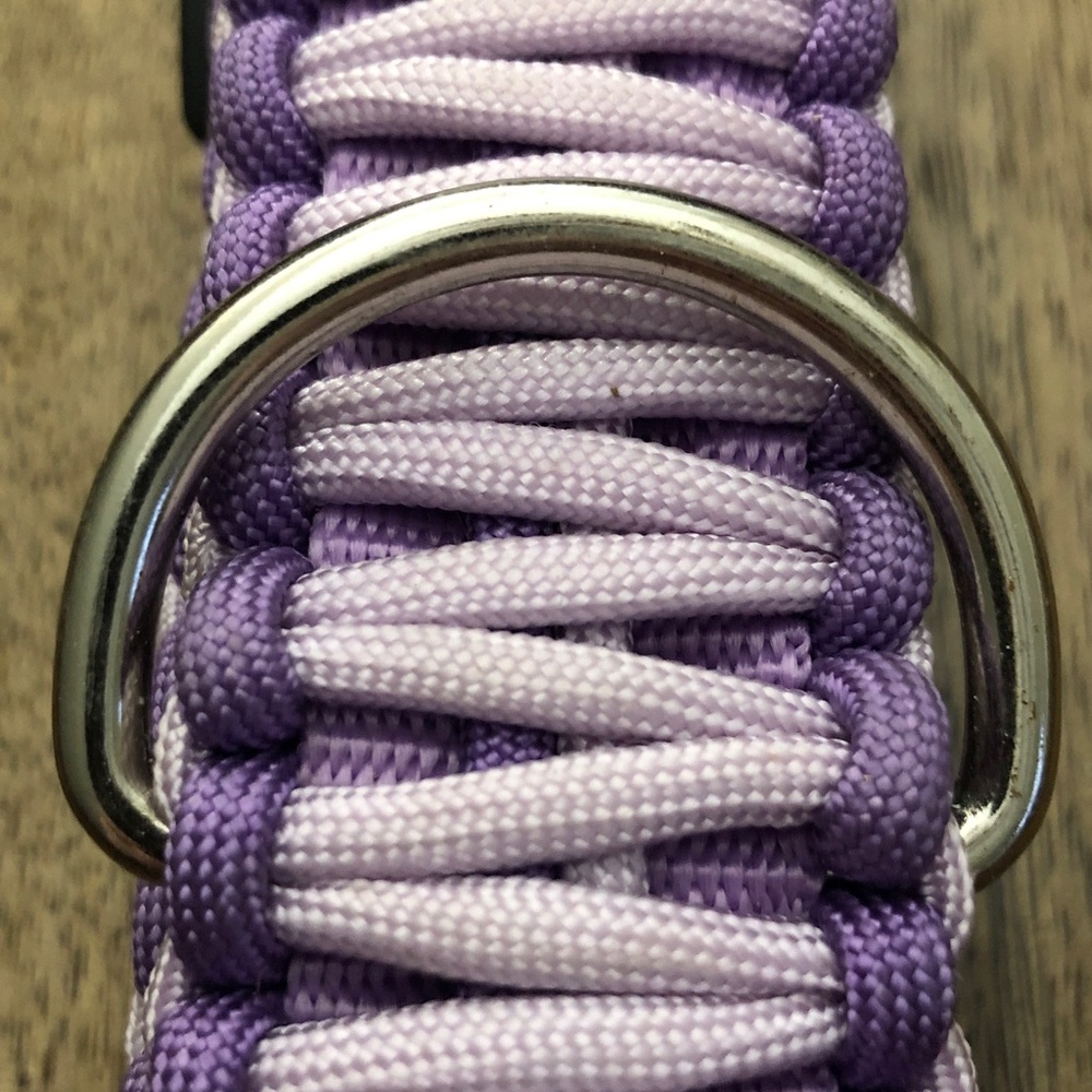 Purple Dog Collar size unknown - Picture 4 of 5
